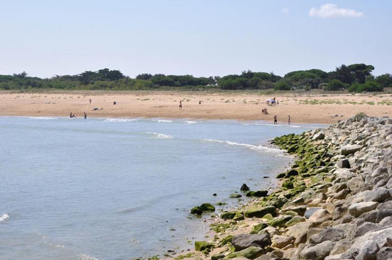 סן-ג'ורג'-דולרו A 80M De La Plage De Plaisance Pour 8 Personnes מראה חיצוני תמונה